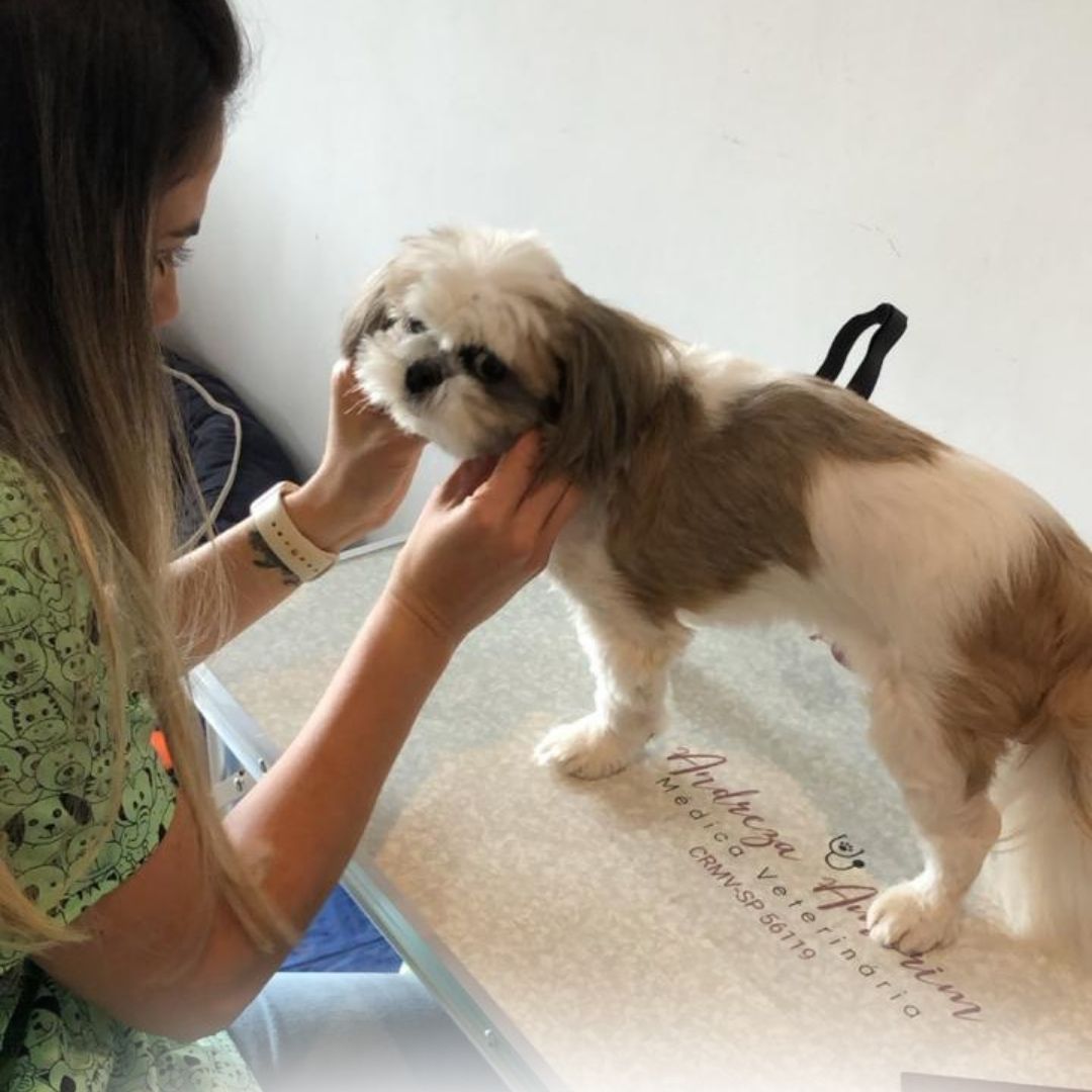 1080X1350 HOMEPETS (1080 x 800 px) (6)