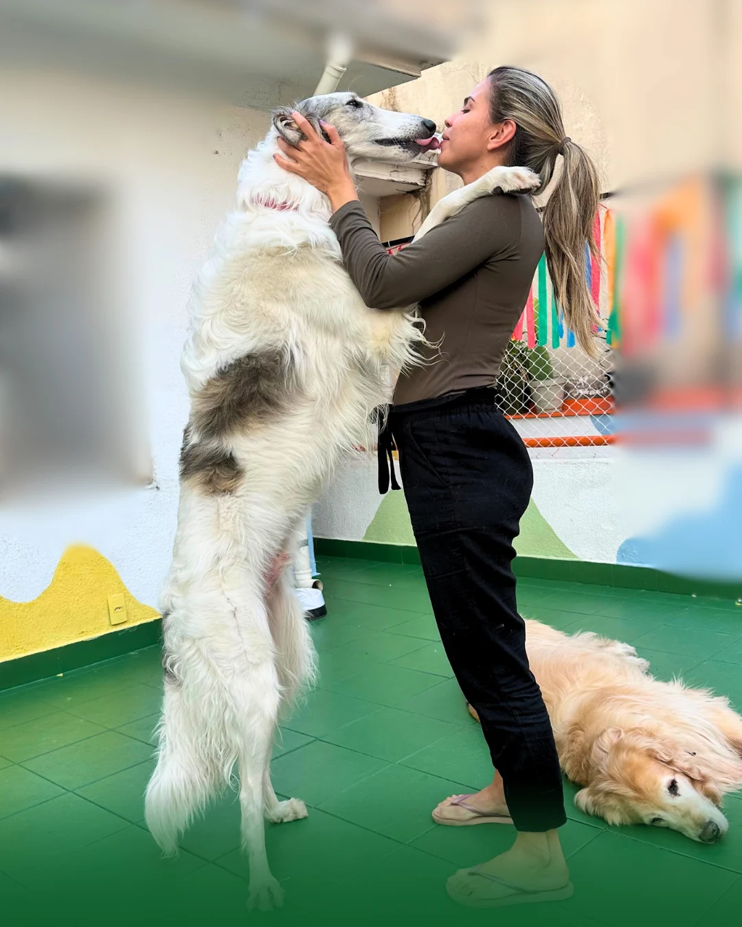 Aqui, seu pet é cuidado com carinho, por quem realmente entende (1)