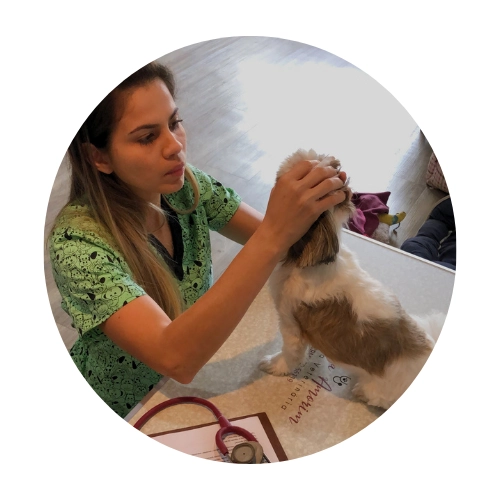 Veterinária em Domicilio