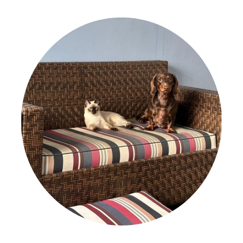 Pet Sitter