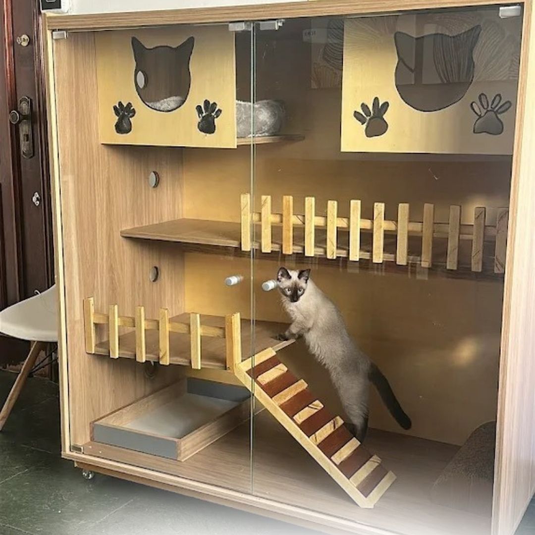 Pet Sitter (2)